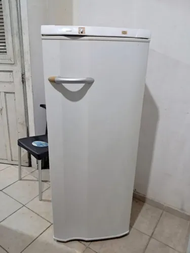 Eletrolux duplex gelo seco seminova 