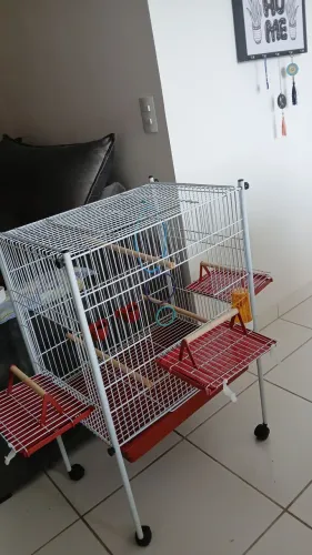 Vendo 