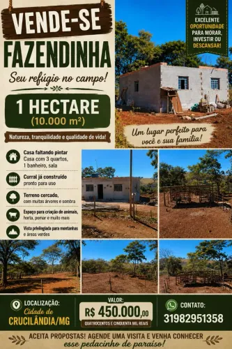 ? VENDE-SE FAZENDINHA / CHÁCARA - 1 HECTARE (10.000 m²) ?<br>