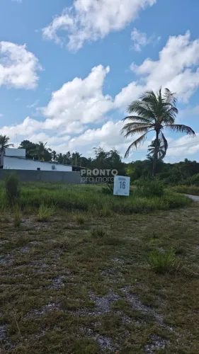 Lote/Terreno/Condomínio em Zona de Equilíbrio Ambiental (ZEA)