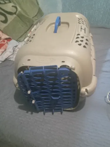 Casinha de transporte para pets