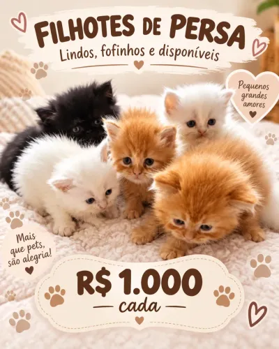 Filhotes Disponíveis Para Reserva