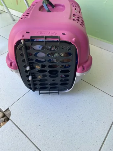Caixa Transporte para animais