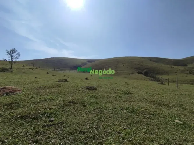 SÍTIO FORMADO PRÓXIMO A VIA DUTRA LORENA-SP