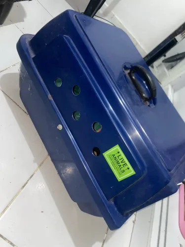 Caixa transportadora