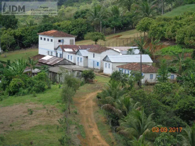 Fazenda de cacau com 278 ha em Camamu - BA