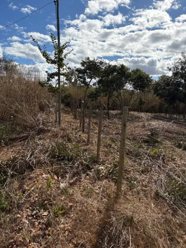 Terreno