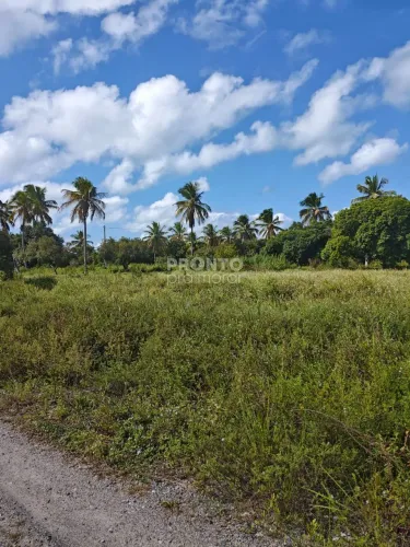 Lote/Terreno/Condomínio em Zona de Equilíbrio Ambiental (ZEA)