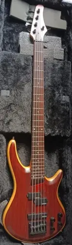 Contra Baixo Samick 5 Cordas Artist Series Established 1958