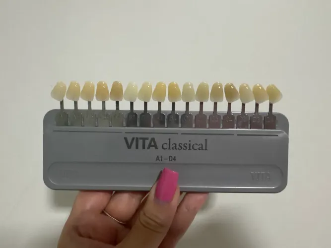 Escala vita ORIGINAL classical A1-D4
