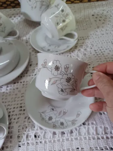 Jogo de chá e cafe porcelana Schmidt