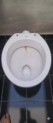 Vaso sanitário Celite NOVO