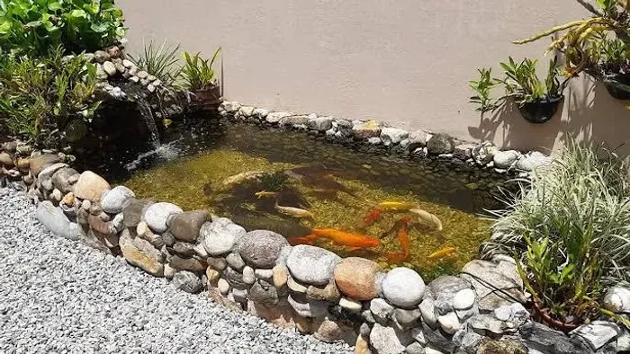 Lagos Ornamentais: Seu Jardim Nunca Mais Será o Mesmo