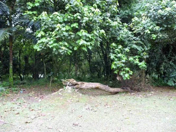 Granja Viana, Gramado, Cotia.