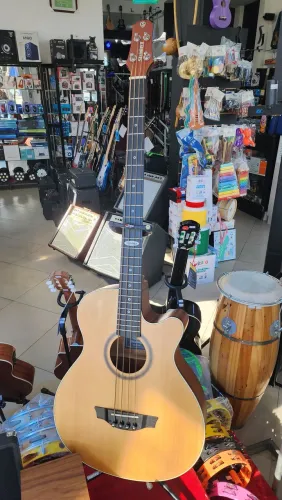 Baixo Acústico Steinberger