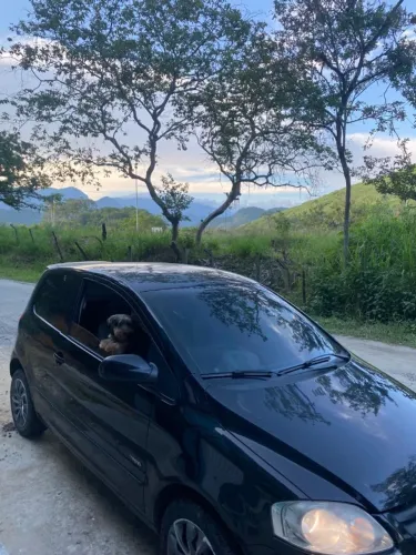 Volkswagen Fox City 1.0mi/ 1.0mi Total Flex 8V 3P 2010