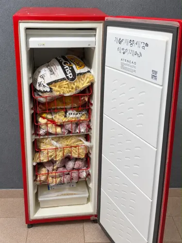 FREEZER VERTICAL FUNCIONANDO PERFEITAMENTE