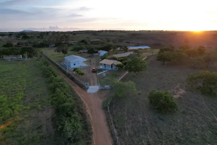 GRANJA + AGROINDÚSTRIA DE OVOS À VENDA | OPERAÇÃO EM FUNCIONAMENTO | RIBEIRÓPOLIS/SE