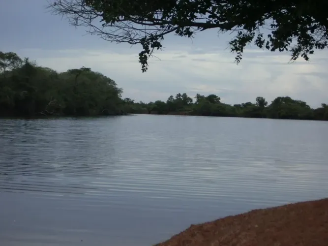 Fazenda MT. 83.350 hec. Aceita pagar em Ouro ou Diamantes documentados 1.2 Bi.