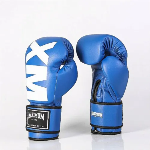 Luvas de Boxe e Muai Thay Azul 