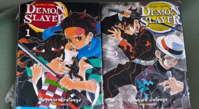 [Mangás] Demon Slayer/ Kimetsu no Yaiba (Volume 1 e 2)