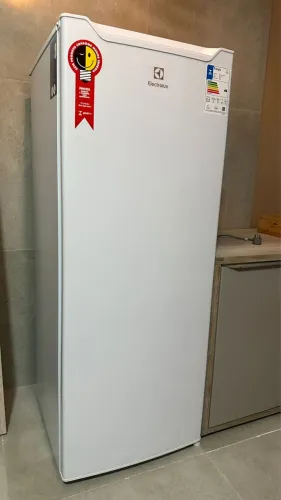 ELECTROLUX geladeira RE21