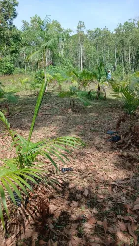 Venda de Terreno