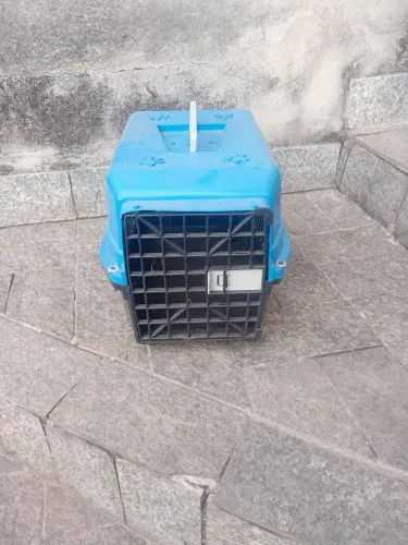 Casinha de transporte para cães 