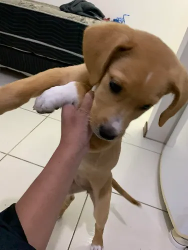 doação