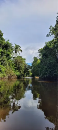 Vendo Excelente Fazenda em Maracajá Pará