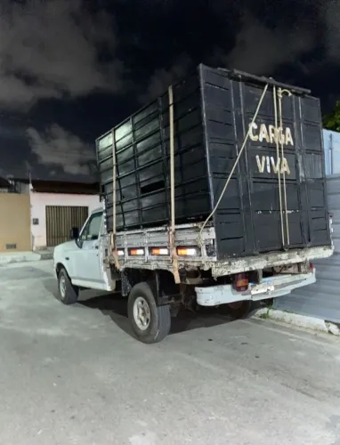 Carroceria para D20