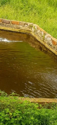 SÍTIO EM NANUQUE: ACEITO, VEÍCULOS DE LEILÃO E QUALQUER IMÓVEL ? NEGOCIAÇÃO SEM LIMITES