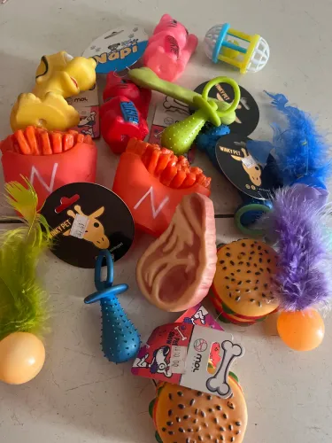 Acessórios pet bazar 