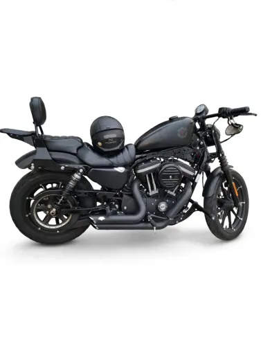 Harley Davidson/ XL883N 2020