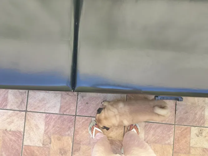 Maca maleta pra retirar