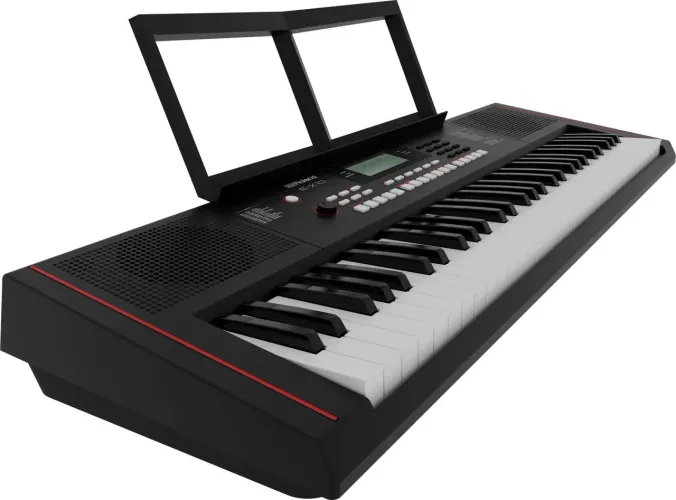 Teclado musical Roland E-X10 61 teclas