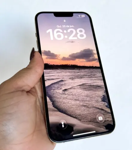 iPhone 13 pro max 256GB