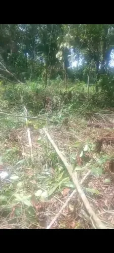 Terreno Mongaguá cidade balneário Marinho