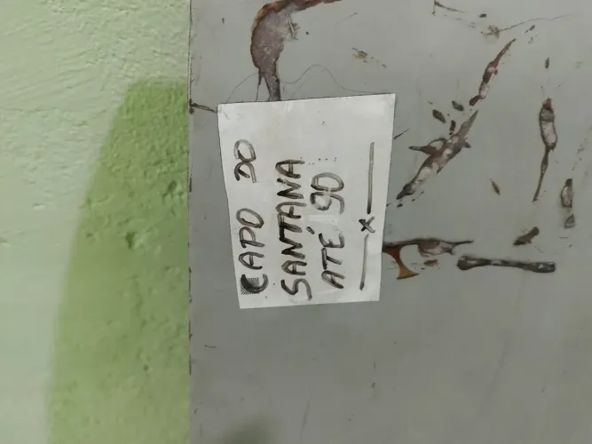 Vendo capo de Santana  300 reais 