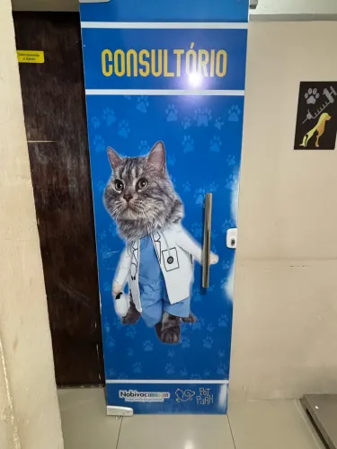 Portas de vidro consultório, escritório