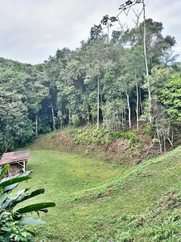 TERRENO 7000m² meio a Natureza - São Pedro de Alcântara