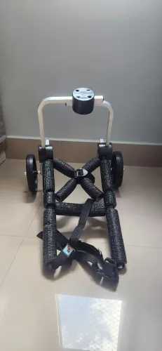 Cadeira de 2 rodas para pets