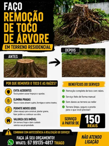 FAÇO REMOÇÃO DE TOCO DE ÁRVORE. CONTATO PARA ORÇAMENTO E INFORMAÇÕES NO ANÚNCIO!