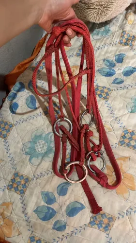 Burçal/cabresto