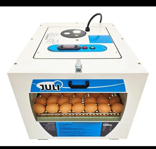 CHOCADEIRA JULI SEMI NOVA