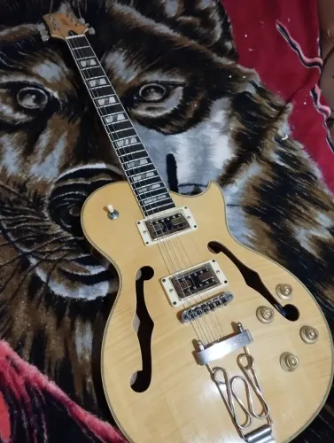 Toco Guitarra Golden semeacustica por Bateria acústica
