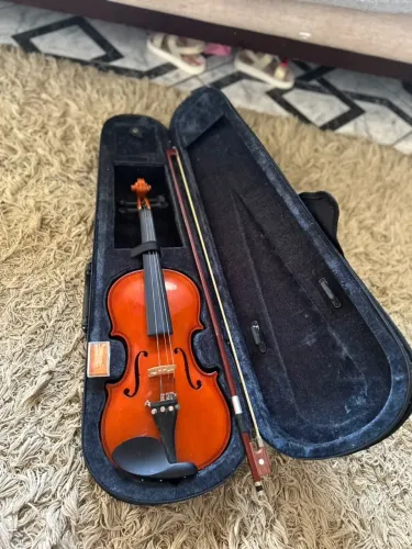 Violino