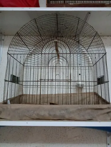 Gaiola de ferro para periquito