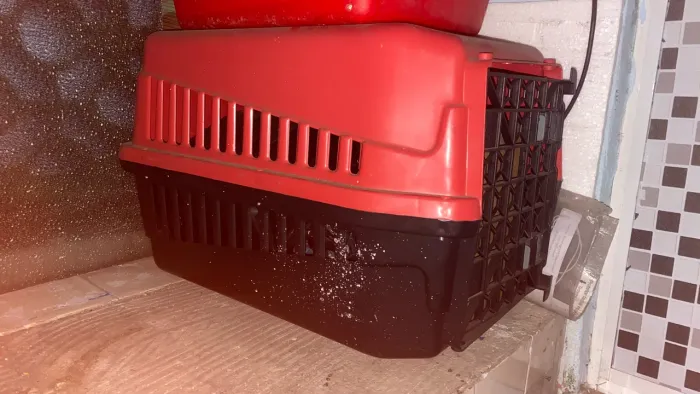 Transporte para Pet semi novo