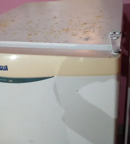 Geladeira com marca de uso Consul 280 litros voltagem 220  velhinha mais gela muito vm